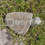 Korytnačka z kameňa 15 cm