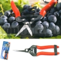 Zahradní nůžky vinařské 19cm 345