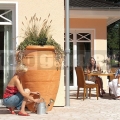 Antik amfora terracotta