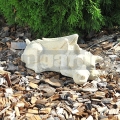 Drak spiaci 269b