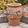 Cserép eperre 4264
