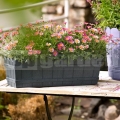 Virágcserép Country 50 cm antracit 515250
