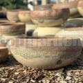 Virágcserép Daphne Angkor Cream 36cm