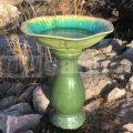 Madáritató Lotus