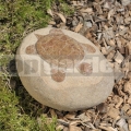 Teknősbéka dombormű 20-25 cm