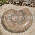 Csiga dombormű 20 - 25 cm
