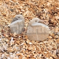 Madár kőszobor 15 cm
