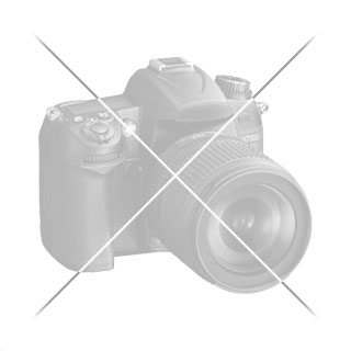 HSL-31/M