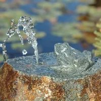 Chrliče vody do jezírka