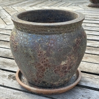 Glazované kvetináče RAINFOREST Glazované kvetináče RAINFOREST