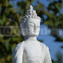 Buddha B02