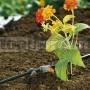 Radový kvapkač 2L/h Gardena 8343-29
