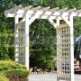 Drevená pergola Akébia L