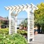 Drevená pergola Akébia L