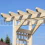 Drevená pergola Akébia L
