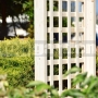 Drevená pergola Akébia L