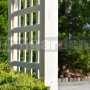 Drevená pergola Akébia L