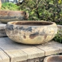 Kvetináč Daphne Angkor Cream 26cm