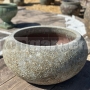 Kameninové jazierko Iason Rainforest Sand 61 cm