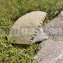 Kamenný ježko ležiaci 12 cm