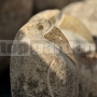 Vták z kameňa 30 cm