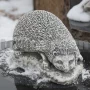 Dekoračný ježko 18cm gb
