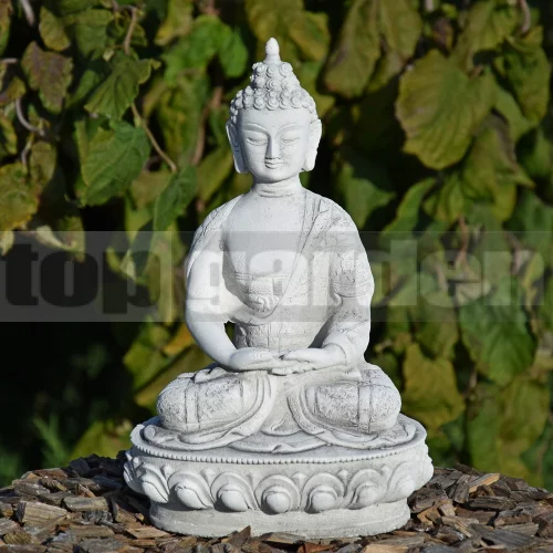 Buddha B02 Buddha B02