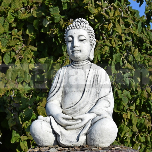 Buddha ba 196