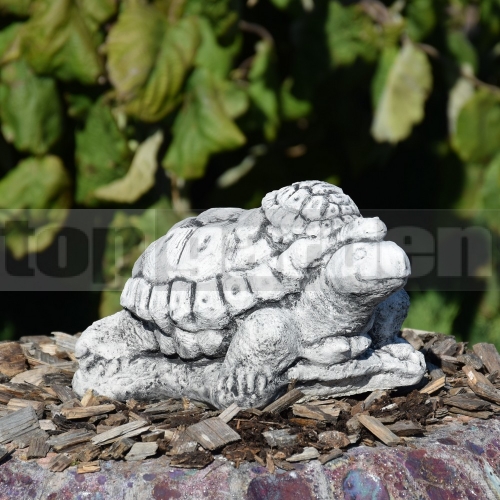 Teknősbéka szobor ba 247