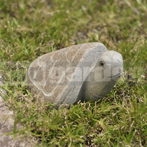 Želva z kamene 15 cm