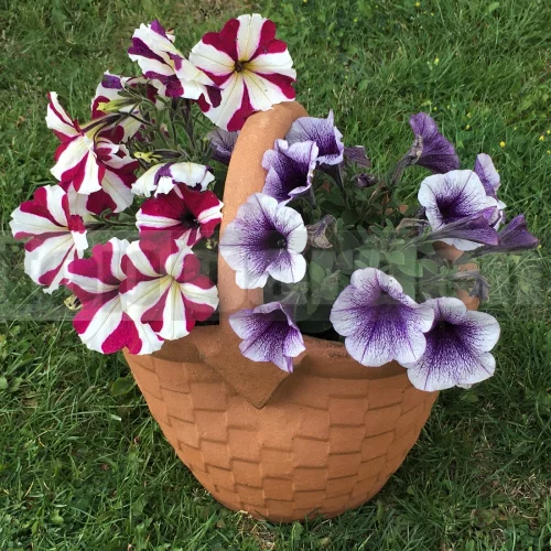 Košík s rúčkou 22cm N180 1.tr.