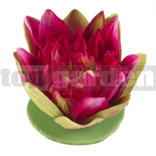 Lekno ružové 17cm Lotus 123571 Lekno ružové 17cm Lotus 123571