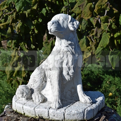 Beton szobor kutya A62