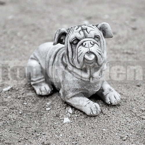 Boxer kutya szobor A80