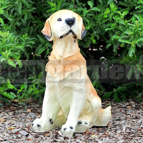 Labrador kutya szobor A631
