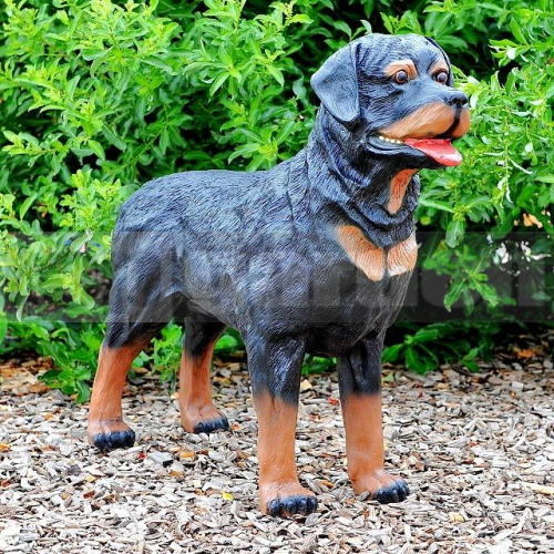 Rottweiler kutya szobor A47