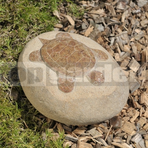 Teknősbéka dombormű 20-25 cm