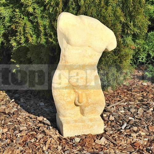 Torzo mužské 127 Torzo mužské 127