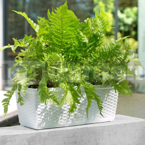 Virágláda 50 cm fehér Casa Mesh Emsa 515021