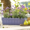 Kvetináč Country 75 cm pastelová fialová 515253
