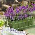 Kvetináč Country 75 cm zelený 515255