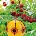 Plašič vtákov - balón art 45108